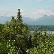 Picture 013